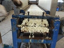 China Steel Belt Small Laboratory Equipment , Pastilles Strips Flakes Making Machine supplier